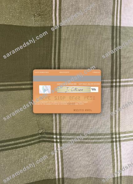 Egypt Bank of Alexandria visa debit card photolook back